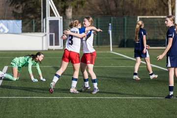 Bild 328 - wBJ Hamburger SV - Hertha BSC : Ergebnis: 2:1